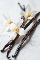 AI generated Vanilla Flowers and Pods Artfully Arranged on a Textured White Surface photo