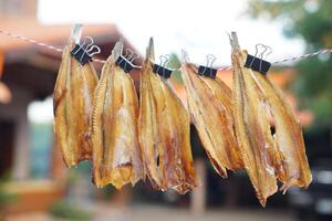 Dried fish hanging to dry on a line  outdoor. Concept, food preservation for next time cooking or keep long live of food by drying on sunlight or air. Local wisdom of keep food. photo