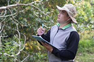 Asian man botanist is exploring bonanical plants in forest. holds paper clipboard and pen,  Concept,Survey ,research botanical plants. Forest and environment conservation. photo