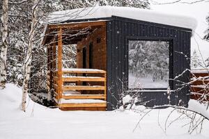 modular casa hecho de oscuro metal y ligero madera en invierno bosque. un casa ese toma dentro cuenta todo usted necesitar para un cómodo vida fuera de el ciudad. foto