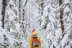 brave traveller. hiking backpack on the back of the traveler. Snowy forest and rocks. Climbing the mountain in winter. Survival in the wild. photo