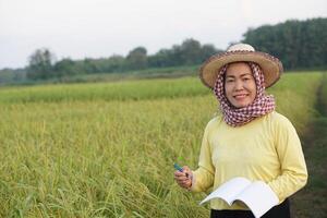 Asian woman farmer is at paddy field, wears hat, yellow shirt, holds notebook paper, inspects growth and disease of plants. Concept, Agriculture research and study to develop crops. photo