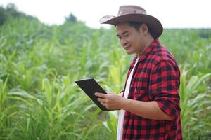 hermoso asiático hombre granjero es en jardín, usa sombrero, rojo tartán camisa, sostiene inteligente tableta. concepto, agricultura ocupación, inspeccionar, encuesta y investigación. foto