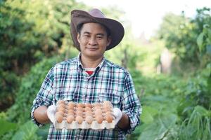 Handsome Asian man farmer holds tray of eggs at garden. Concept, Organic agricultural farming, Farmers produce healthy eco food. Best food during bad economy. Delivery to home. photo