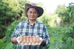 hermoso asiático hombre granjero sostiene bandeja de huevos a jardín. concepto, orgánico agrícola agricultura, agricultores Produce sano eco alimento. mejor comida durante malo economía. entrega a hogar. foto