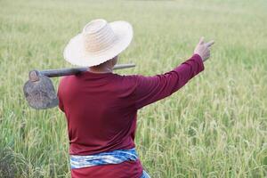 Back view of Asian man farmer wears hat, red shirt, carry a hoe on shoulder, point something at paddy field. Concept, Agriculture occupation. Working with nature. Organic farming. photo