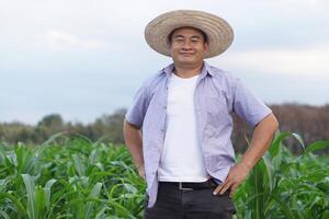 Handsome Asian man farmer is at garden, wears hat, put arms on waist. Concept, agriculture occupation. Thai farmer. Copy space for adding text or advertisement. photo