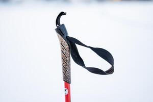 encargarse de desde un esquí polo con un lazo para el mano. parte de el Deportes equipo de esquiadores. corcho madera manejar. foto