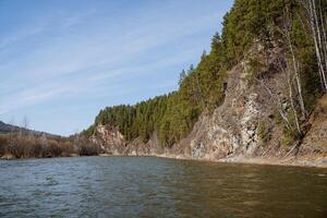 Landscape in the mountains on the river, beautiful cliffs overgrown with forest, brown water spring flood, spring day, taiga nature, a journey through the mountains. photo