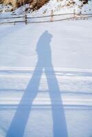 el sombra de un hombre en el nieve, el negro silueta de el figura de un hombre en invierno en un blanco fondo, un turista camina mediante el bosque fundición un sombra. Arte fragmento foto