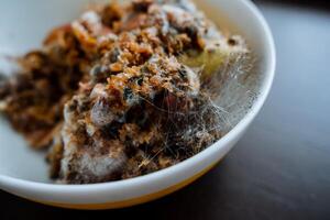 Mold close-up. Spoiled food, rotten foods. Microorganisms sprouted on ground fruits. photo