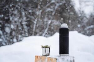 un negro mate termo y un jarra con un abeto ramita estar en un cubierto de nieve muñón.cálido té en el invierno escarcha.minimalista tema Disparo foto