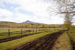 Countryside mountainous landscape, autumn season, dry leaves lie on the ground, black road stretches upwards, fenced pasture, wooden ranch fence photo