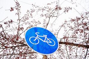 Road sign is a bicycle road. Drawing of a bicycle transport on a blue background. photo