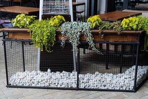 A floral arrangement adorns the fence of an outdoor cafe, the long stems of a plant hanging from the fence, the interior of a city restaurant, the design of an outdoor bar. photo