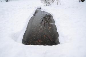 polinia en el río. claro y descongelado agua en el río. el agua es entonces claro ese usted lata ver el abajo. invierno camina por el orilla del río foto