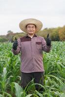 Handsome Asian man farmer is in garden, wears hat, brown plaid shirt, thumbs up. Concept, Agriculture occupation. Thai farmer lifestyle, Feeling proud and satisfied in crop production photo