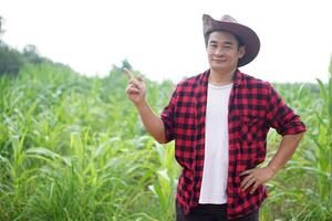 hermoso asiático hombre granjero es a jardín, usa sombrero, rojo tartán camisa, poner mano en cadera y puntos dedo arriba. Copiar espacio para agregando texto o anuncio publicitario. concepto , agricultura ocupación. contento agricultor. foto