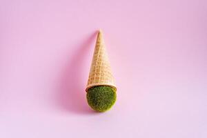 Waffle cone with a ball of lawn. Unusual ice cream on a pink background. A sphere of lawn. Top view. photo