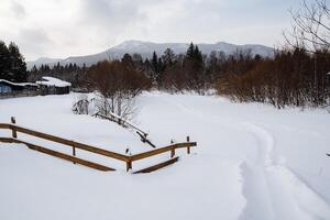 Snow-covered empty road without cars. A road going straight to the mountains. wooden fence near the village houses, View on tall mighty trees photo