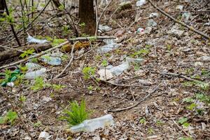 el plastico basura es acostado en el urbano bosque contaminador el ambiente, humano residuos en el suelo, el muerte de naturaleza, botellas son acostado en el suelo. foto