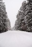 Snow-covered empty road without cars. A road going straight through snow covered trees. A journey in the wild in winter. Survival in the nature photo