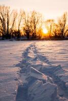 roto nieve en un congelado lago. esquí marcas en el nieve. invierno la carretera en el bosque. puesta de sol. naturaleza de Rusia. del Sur Urales. foto