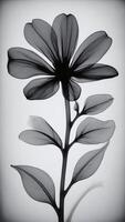 ai generado un negro y blanco foto de un flor radiografía fotografía radiografía Arte. ai generado