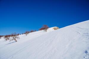 Winter landscape of the mountainside. Cold season in sunny weather. A rare forest in the mountains. Deep white snow. photo