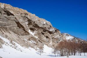 A rock against a blue sky. The output of the gray rocky rock below lies snow, trees grow, a rare forest, a cold season. photo