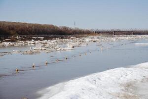 Water has flooded the territory, snow is melting, flooding on the river, dirty water, ice floating in pieces, spring in nature. photo