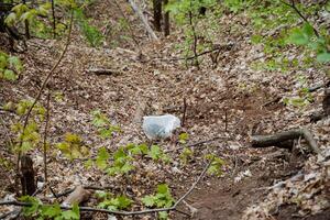 un el plastico bolso con basura estaba arrojado dentro el bosque, un bolso de residuos mentiras en el suelo, contaminación de el ciudad parque, deliberar destrucción de naturaleza, foto