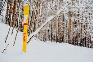 A yellow gas pipe sticks out of the ground. Designation of an underground overpass with the inscription gas. Winter Forest Russia. photo