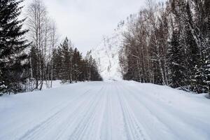 Snow-covered empty road without cars. A road going straight to the mountains. Tall mighty trees are covered with snow. A journey in the wild in winter photo