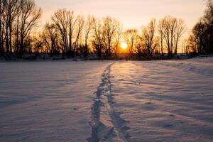 The ski track is laid on the snow. Traces of a skier. A line in the snow extending into the distance. The beauty of the winter landscape. Northern Light. The radiance of the sun on a frosty day. photo