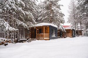 modular casa hecho de oscuro metal y ligero madera en invierno bosque. un casa ese toma dentro cuenta todo usted necesitar para un cómodo vida fuera de el ciudad. foto