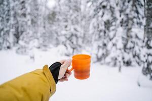 Hiking mug with spruce hot tea in the hands of a traveler. Drink warm tea in the winter forest. Walking on fresh air photo