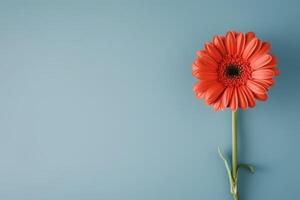 ai generado rojo flor en un azul antecedentes foto