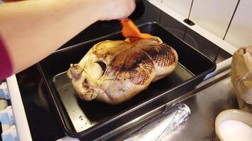 Small video on the preparation of baked orange duck. Anointing with butter