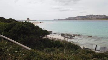 un visión de conjunto de el bahía de stintino en un Ventoso y nublado día. video