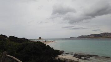 un panoramica di il baia di stintino su un' ventoso e nuvoloso giorno. video