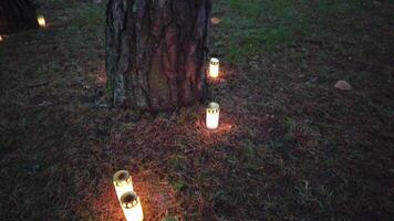 Candles for the commemoration of the dead on an autumn evening. video