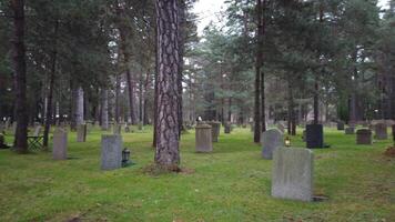 Walking in the cemetery park among the graves on an autumn day. video