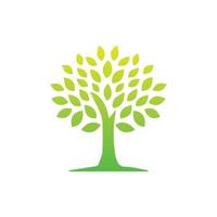 Tree icon concept of a stylized tree with leaves,  vector illustration