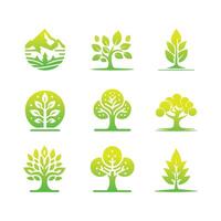 Set of Tree icon concept of a stylized tree with leaves vector