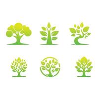 Set of Tree icon concept of a stylized tree with leaves vector