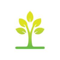 Tree icon concept of a stylized tree with leaves,  vector illustration