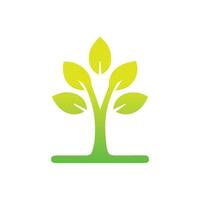 Tree icon concept of a stylized tree with leaves,  vector illustration