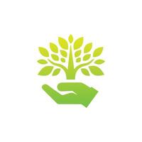 Tree icon concept of a stylized tree with leaves,  vector illustration