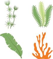 Set of Coral Reef Underwater. With Flat Design. Isolated Vector